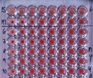 Laboratoře Mikrochem a.s. Laboratoře Mikrochem a.s.
